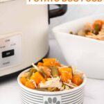 A bowl of homemade dog food with sweet potato, green beans, and chicken and a slow cooker.