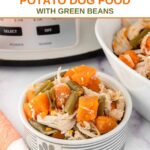 A slow cooker and bowls of dog food with chicken, sweet potato, and green beans.