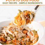Homemade dog food with chicken, sweet potatoes, and green beans on a serving spoon.