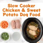 Homemade dog food with chicken and sweet potatoes ingredients, in a slow cooker, and being served.