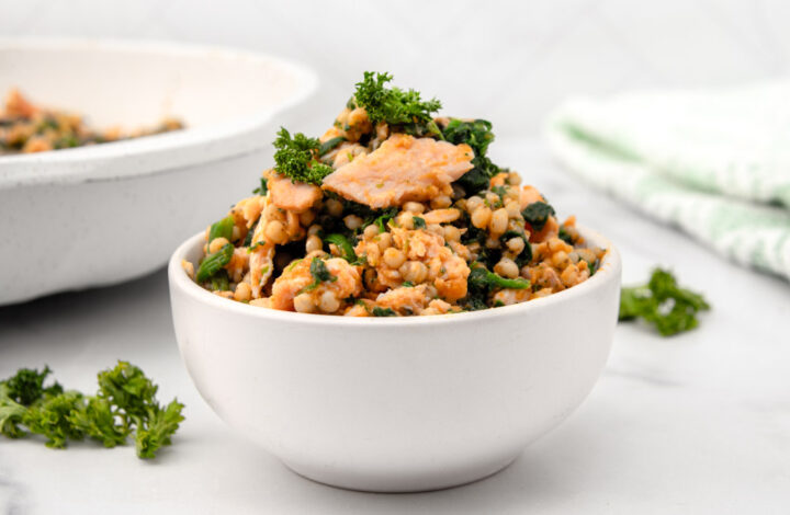Homemade salmon and pumpkin dog food in a small bowl next to a skillet of it.