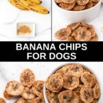 Bananas and ground ginger and dehydrated chips made with them.