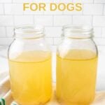 Chicken and turkey bone broth for dogs in mason jars.