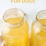 Jars of homemade bone broth for dogs made with chicken and turkey bones.