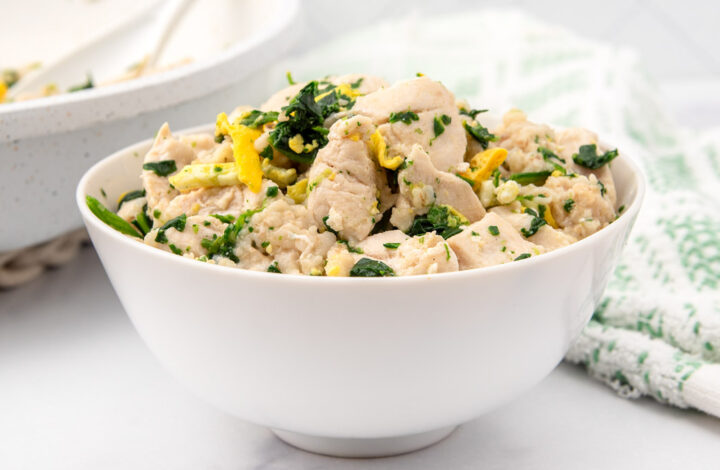 Chicken breakfast bowl for dogs with oatmeal, egg, and spinach.