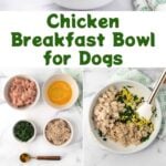 Chicken, egg, oatmeal, and spinach breakfast bowl and the ingredients to make it.