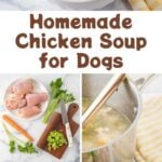 Homemade chicken soup for dogs ingredients, cooking, and serving it.