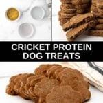 Cricket protein dog treats ingredients and the baked treats on a marble surface.