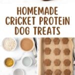 Homemade cricket protein dog treats and the ingredients to make them.