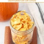 Homemade dehydrated pumpkin dog treats in a mason jar.