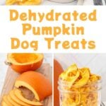Homemade dehydrated pumpkin dog treats in a bowl and dish and a sliced pumpkin.