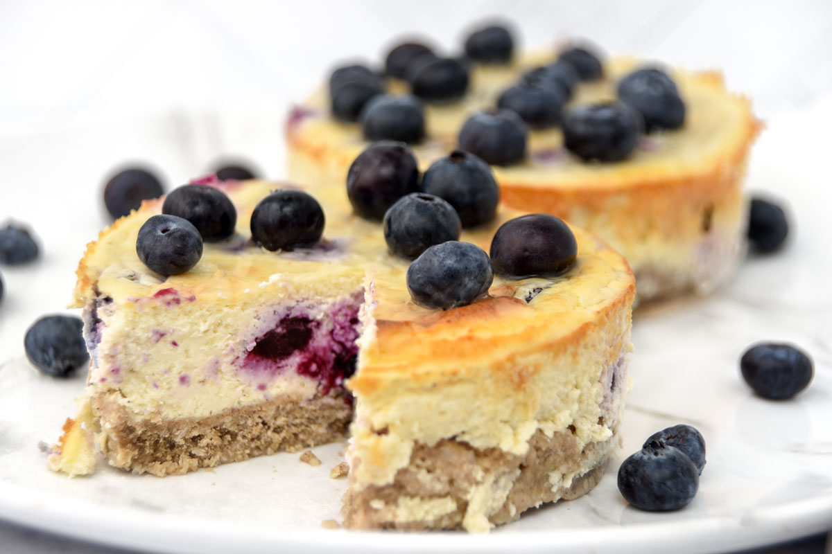 Two blueberry cheesecakes made for dogs.