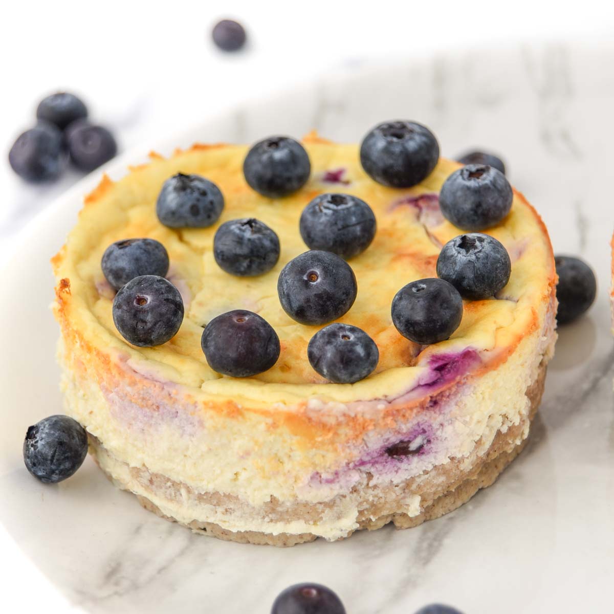 Blueberry cheesecake for dogs topped with fresh blueberries and gelatin glaze.