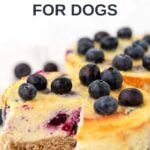 A blueberry cheesecake for dogs with a slice cut out of it.