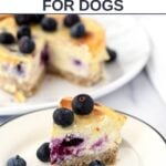 A slice of blueberry cheesecake for dogs on a plates with the cheesecake behind it.