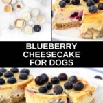Blueberry cheesecake for dogs ingredients and the baked dessert.