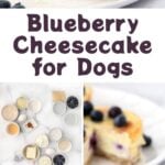 Homemade blueberry cheesecake for dogs and the ingredients to make it.