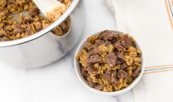 Instant Pot lamb and barley dog food cooked and served.