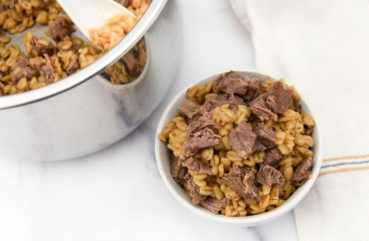 Instant Pot lamb and barley dog food cooked and served.