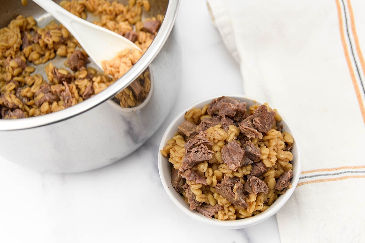 Lamb and barley dog food in a small bowl and an Instant Pot.
