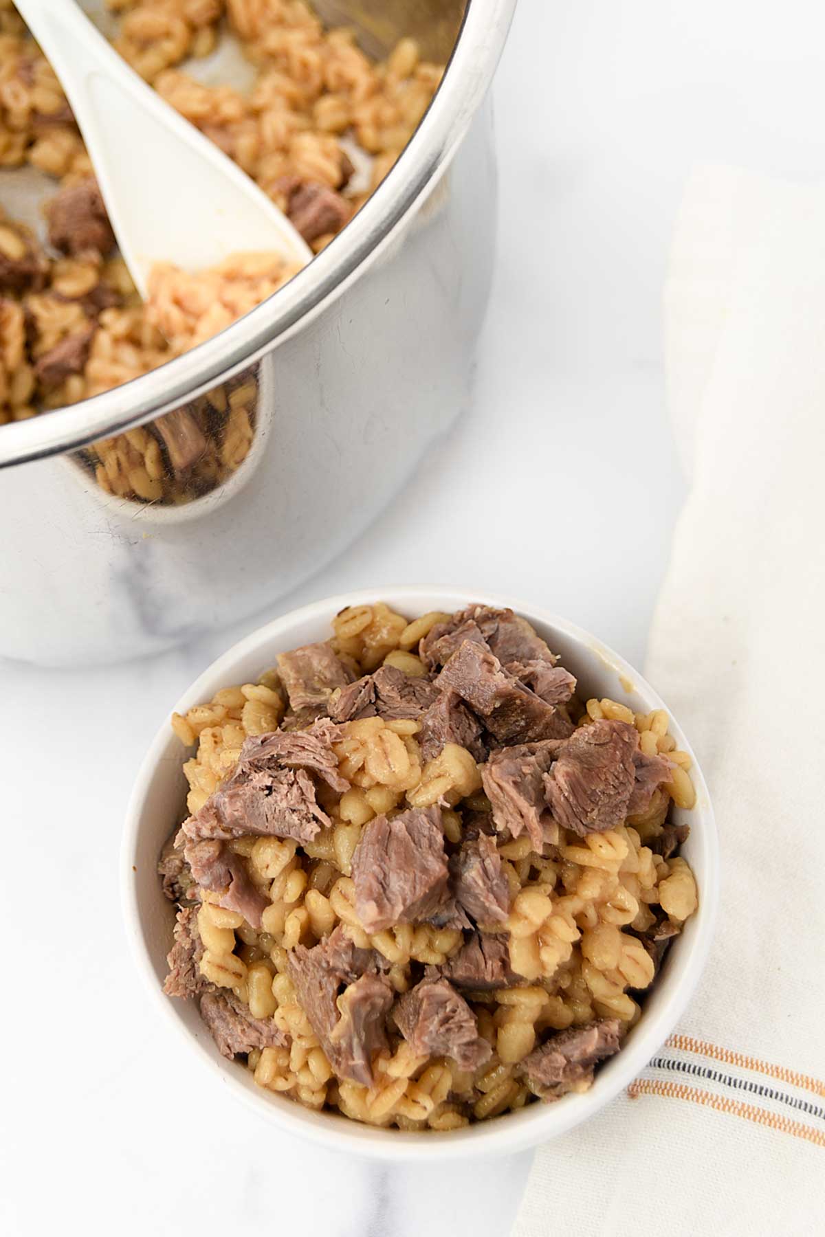 Lamb and barley dog food in an Instant Pot and a serving in a small bowl.