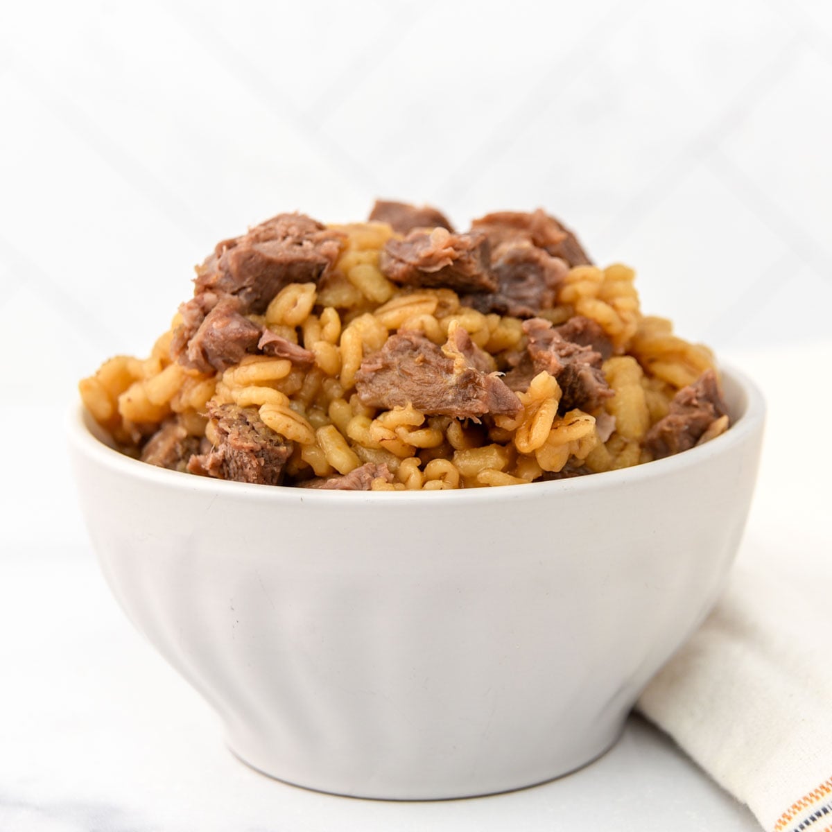 Instant Pot lamb and barley dog food in a small bowl.