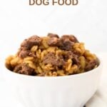 A bowl of Instant Pot lamb and barley dog food.