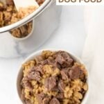 Lamb and barley dog food in an Instant Pot and served in a bowl.