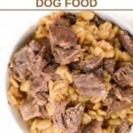 A bowl of lamb and barley dog food that was cooked in an Instant Pot.