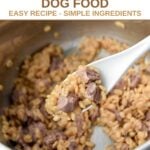 Lamb and barley dog food in an Instant Pot.