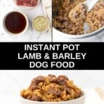 Instant Pot lamb and barley dog food ingredients and the food cooked and served.