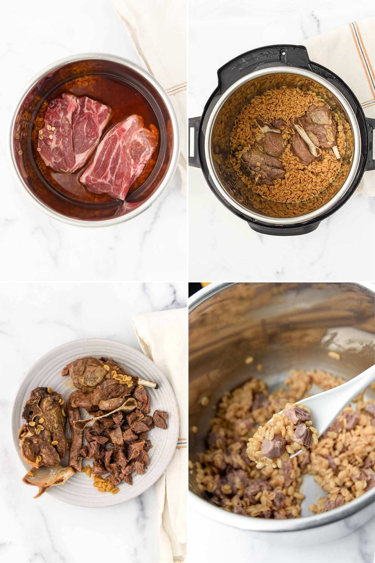 Making lamb and barley dog food in an Instant Pot.