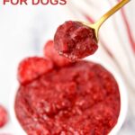 Homemade strawberry jam for dogs in a spoon held over a bowl of it.