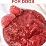 Homemade strawberry jam for dogs garnished with strawberries.