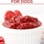 A bowl of homemade strawberry jam for dogs.