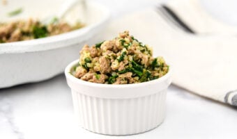 Homemade turkey and spinach dog food in a small bowl and skillet.