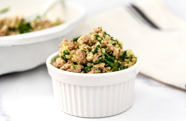 Homemade turkey and spinach dog food in a small bowl and skillet.