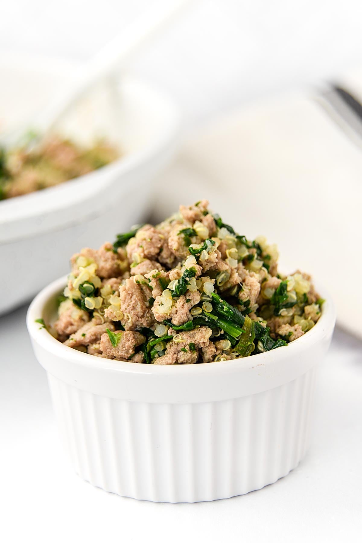 Homemade turkey, spinach, and quinoa dog food in a small bowl.
