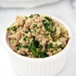 Homemade dog food with turkey, spinach, and quinoa in a small bowl.