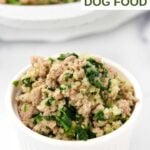 A bowl of homemade turkey and spinach dog food.