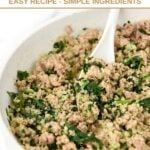 Homemade turkey and spinach dog food in a skillet.