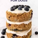 A 3 layer homemade blueberry cake for dogs on a plate.