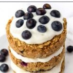 Homemade blueberry cake for dogs topped with fresh blueberries.