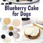 Homemade blueberry cake for dogs and the ingredients to make it.