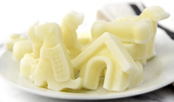Dog, bone, and house frozen goat milk treats for dogs on a plate.