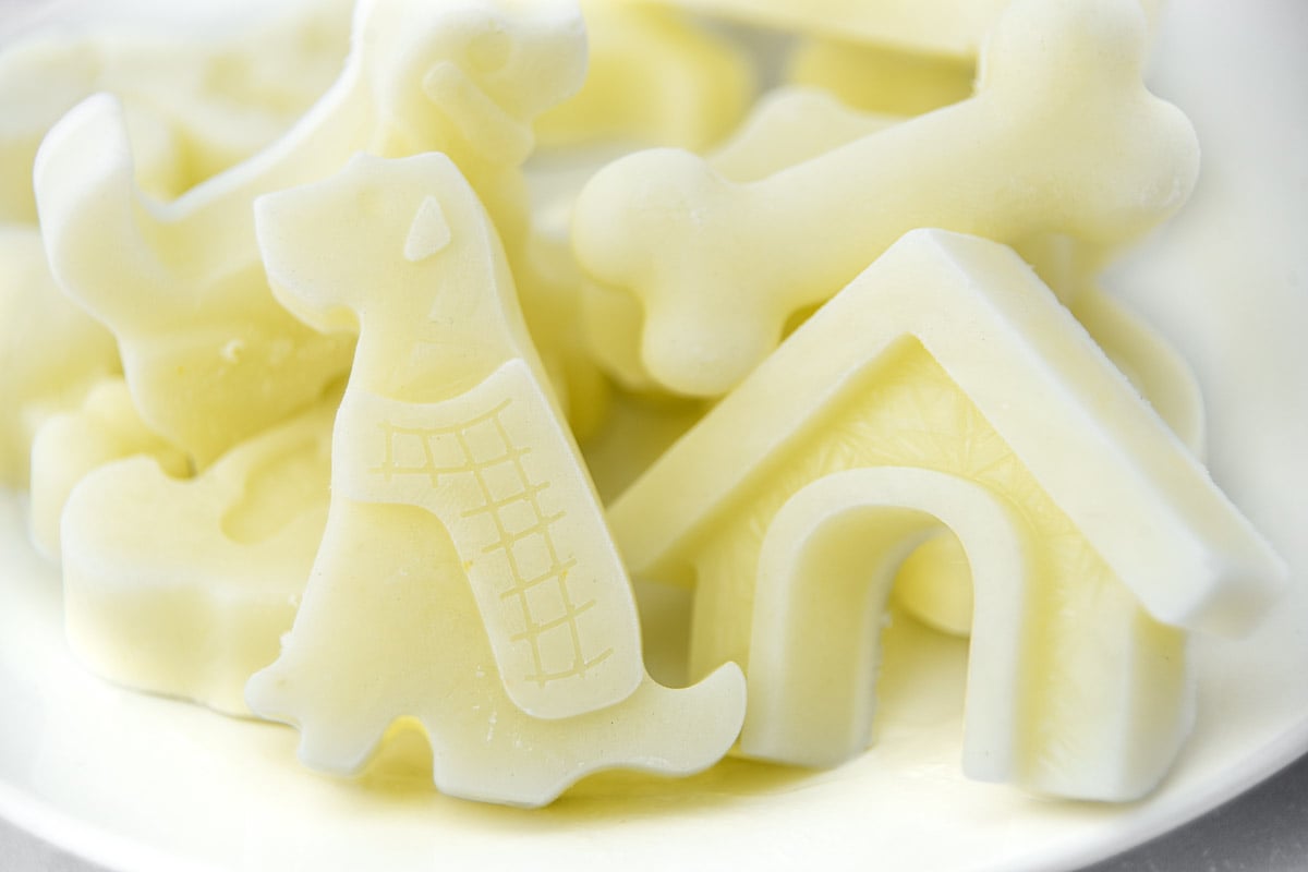 Homemade frozen dog treats made with goat milk and yogurt on a plate.
