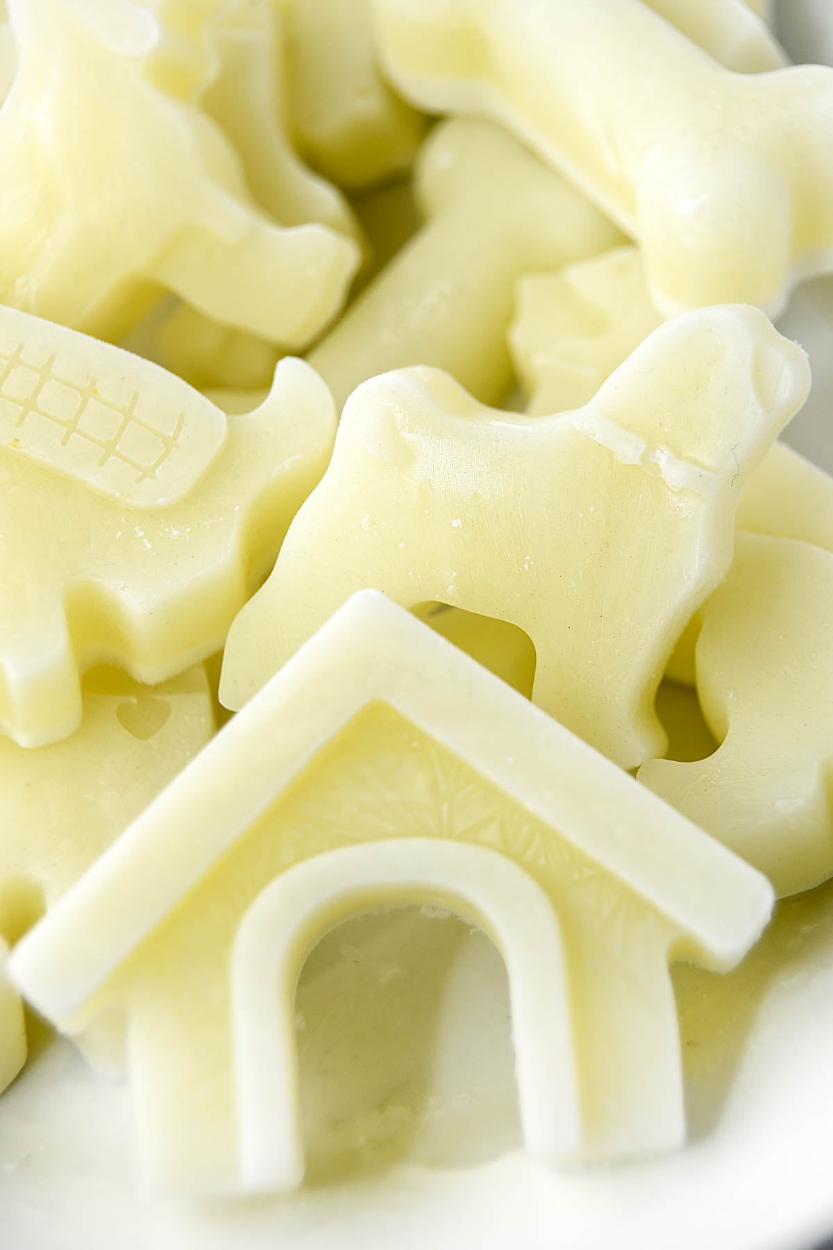 Homemade frozen goat milk dog treats shaped like dogs, bones, and dog house.