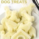 A plate of frozen goat milk dog treats.