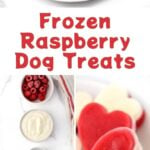 Frozen raspberry dog treats and the ingredients to make them.