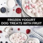 Frozen yogurt dog treats with fruit ingredients and the treats in bowls.